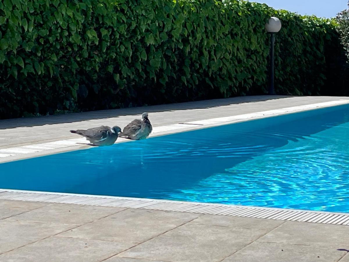 Pansion Margerita Bed & Breakfast Porec Exterior photo