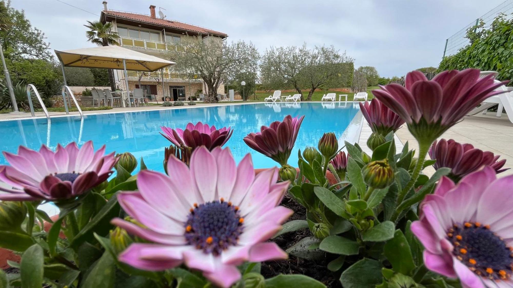 Pansion Margerita Bed & Breakfast Porec Exterior photo